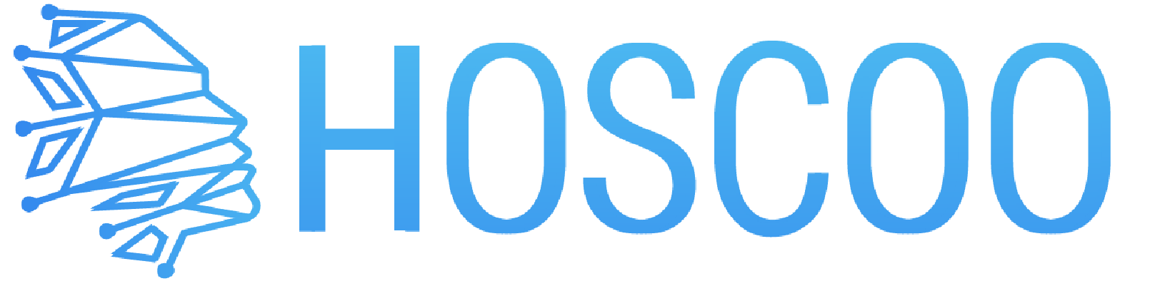 Hoscoo Logo